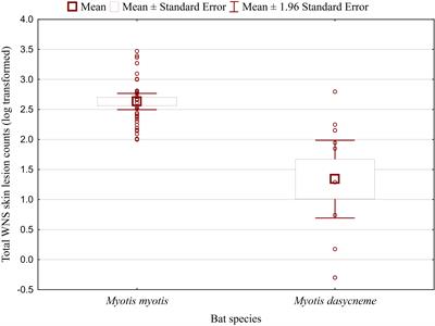 Higher antibody titres against Pseudogymnoascus destructans are associated with less white-nose syndrome skin lesions in Palearctic bats